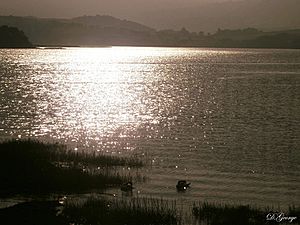 Afon Conwy, Glan Conwy