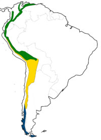 Andes clima