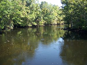 Aucilla River from US 98 bridge01