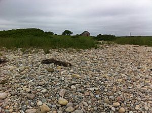 Benjamin Family Environmental Center