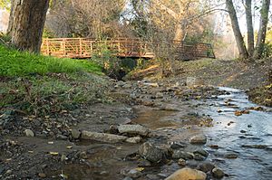 Berryessa Creek Park Bridge