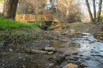 Berryessa Creek Park Bridge.jpg