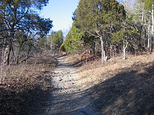 Blue Licks Cedar Glade.JPG