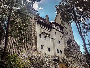 Bran Castle 002