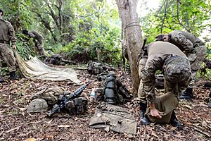 British Army Brunei 2016