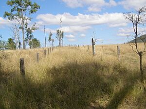 Bryden-Fairview cemetery, Crossdale, 2010