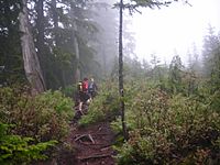 Buntzen lake trail