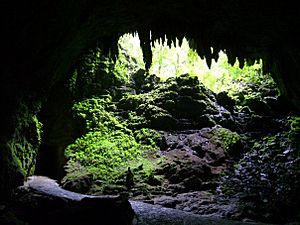 Camuyrivcaverns