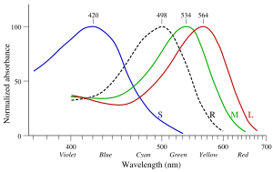 Cone-response-en