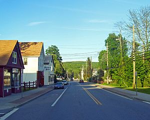 Downtown Patterson, NY