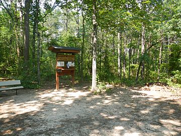 Driskill Mountain Summit.JPG