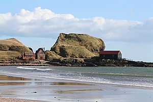 Dunaverty - geograph.org.uk - 735878.jpg