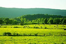 Farm-powells-crossroads-tn1