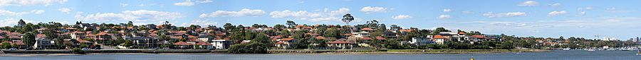 Five dock-ironcove