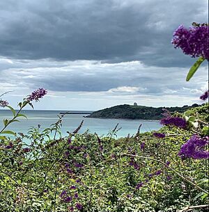 Folkestone, The Warren