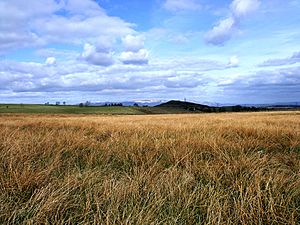 Green Grow the Rushes Oh' - geograph.org.uk - 1763012