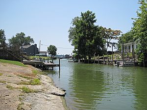 Horseshoe Lake AR 04.jpg