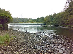 Irwell weir