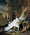 Jan Weenix 003