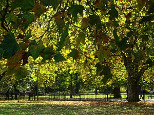 Kennington Park - geograph.org.uk - 1009312