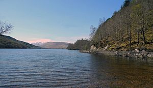 Loch Arkaig - geograph.org.uk - 4210482