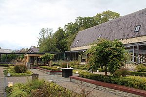 Lough RynnCourtyard3