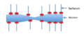 Marangoni Effect of a Film