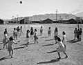 Mazanar volleyball 00166u