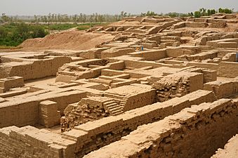 Moenjodaro(a) by Usman Ghani