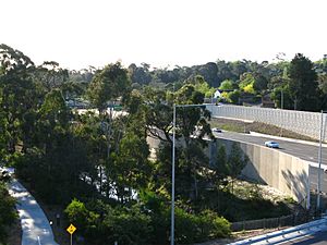 Mullum Mullum Creek Eastlands