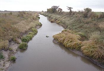 Mustinka River