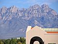 NMSU ZuhlLibrary