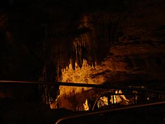 NaturalBridgeCaverns5