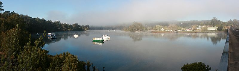 Nelligen, NSW Early Morning Mist, Panorama, 25.9.2008