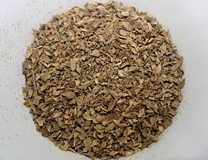 Oregano (অরেগানো)