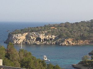 PortalsVells-Calvià-Mallorca-rafax