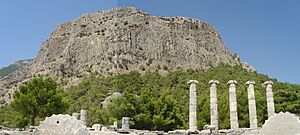 Priene colline colonne.jpg