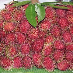 Rambutan.jpg