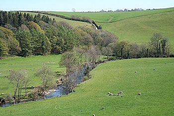 River mole devon.jpg