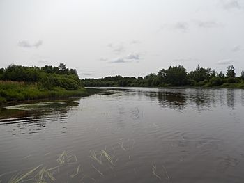 Rivière Turgeon à Val-Paradis 01.JPG