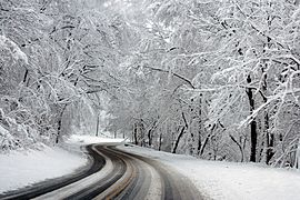 Rock Creek Park, Washington, D.C., 04259a