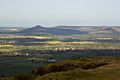 Roseberry from Carlton Bank