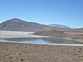 Salar de Carcote, laguna verde