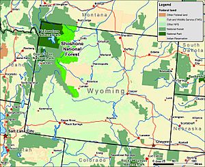 Shoshone wy map