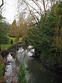 Smestow Brook 10 Seisdon