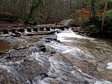 Stepping stones, skelton beck