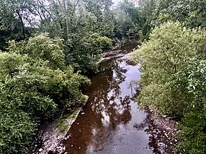 Stony Brook