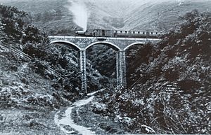 TalyllynOnDolgochViaduct