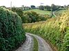 Track to Haydon Farm, North Tamerton - geograph.org.uk - 1005051.jpg