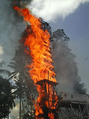 Ubud Cremation 5